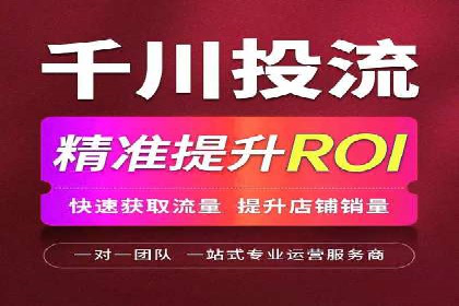 竞价广告策略案例分析